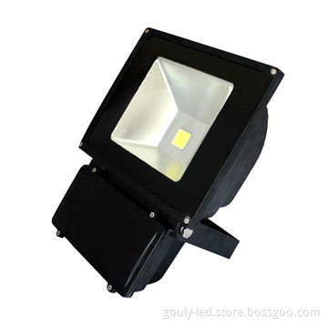 LED floodlight, FL100W, IP65